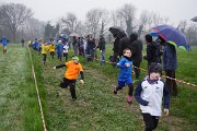 DSC00225 DSC00225